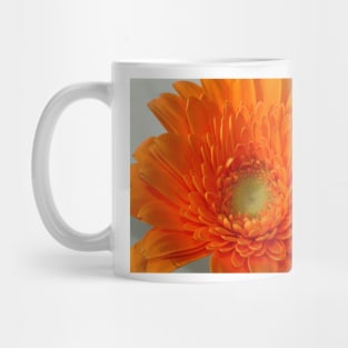 orange gerbera Mug